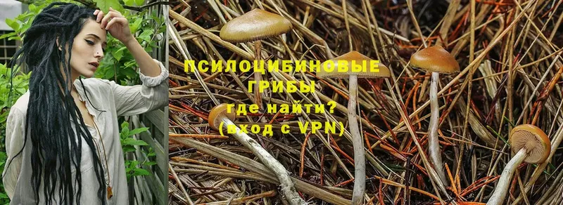 Псилоцибиновые грибы Magic Shrooms  Калязин 